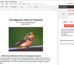 google-drive-add-ons