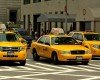 ob_0e9662ba93c4bd708b66dcab7ac81f61_animalny-uber2
