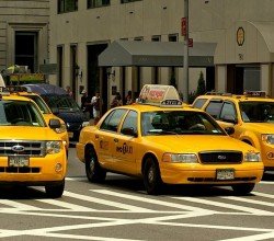 ob_0e9662ba93c4bd708b66dcab7ac81f61_animalny-uber2