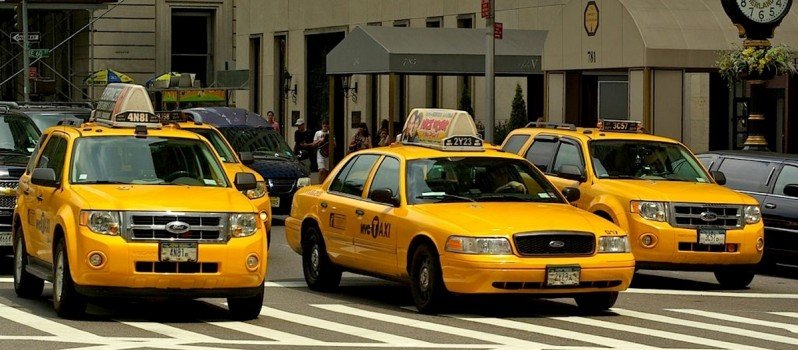 ob_0e9662ba93c4bd708b66dcab7ac81f61_animalny-uber2